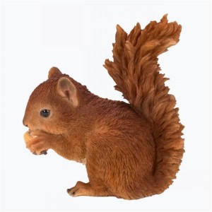 LIKE LIKE BABY RED SQUIRREL F
